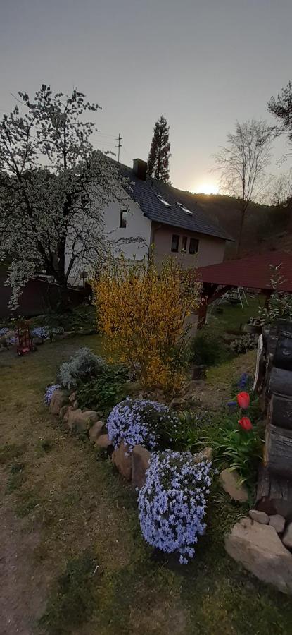 Gaestehaus Gerhardt ชไวเก็น เร็คเท็นบาค ภายนอก รูปภาพ