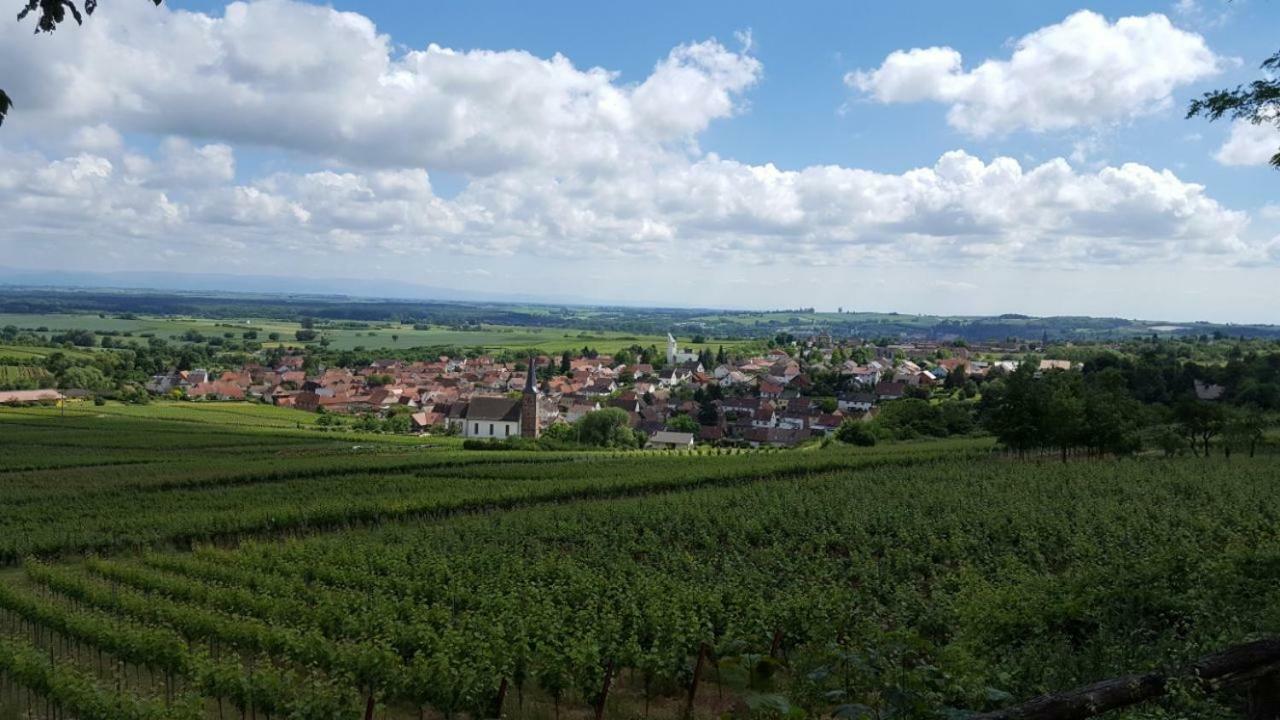 Gaestehaus Gerhardt ชไวเก็น เร็คเท็นบาค ภายนอก รูปภาพ