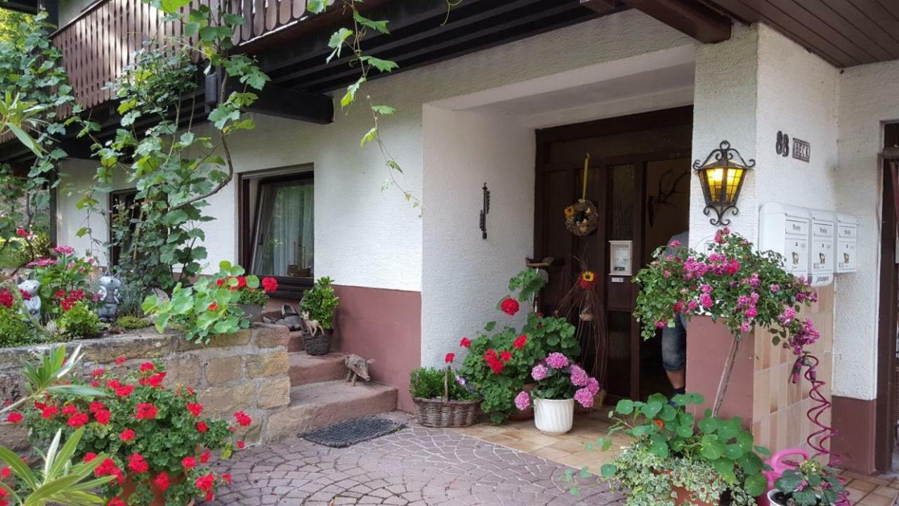 Gaestehaus Gerhardt ชไวเก็น เร็คเท็นบาค ภายนอก รูปภาพ